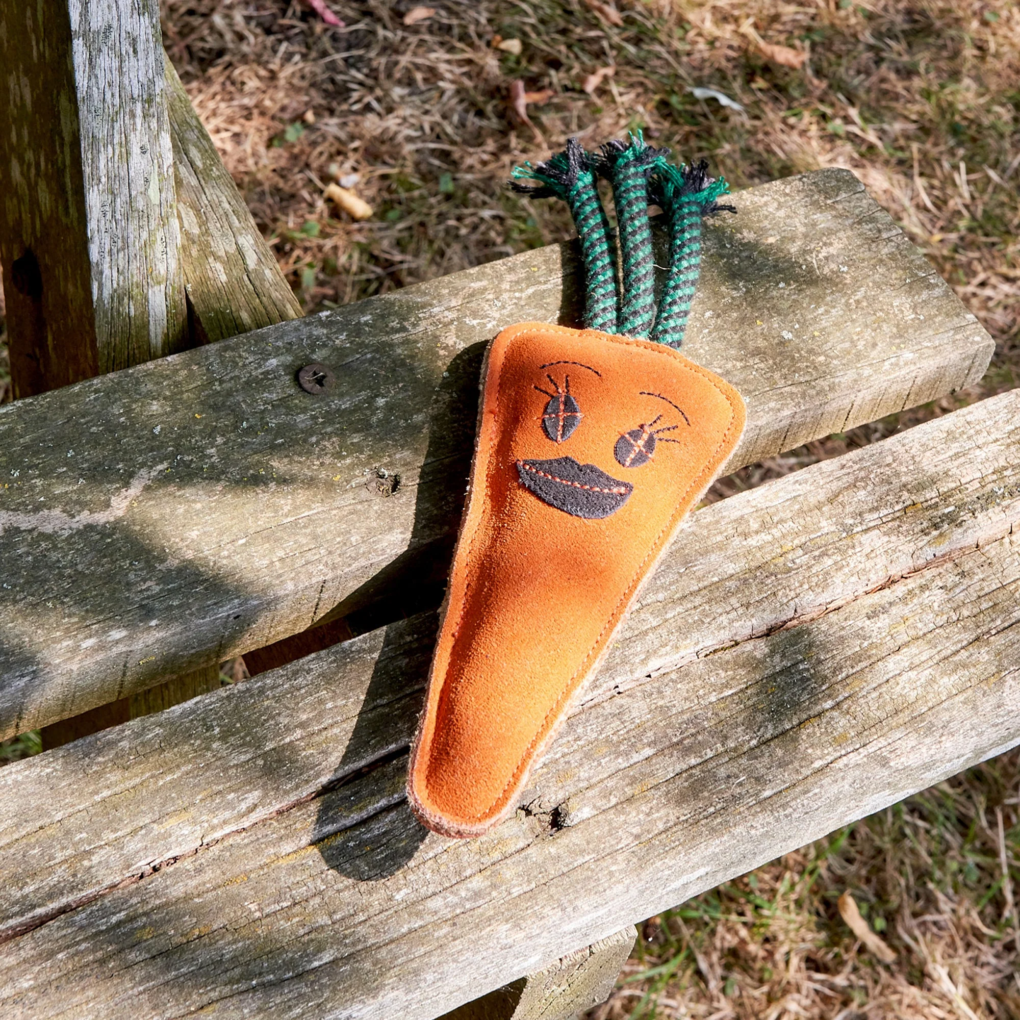 Candice the Carrot, Eco Dog toy - Image 4