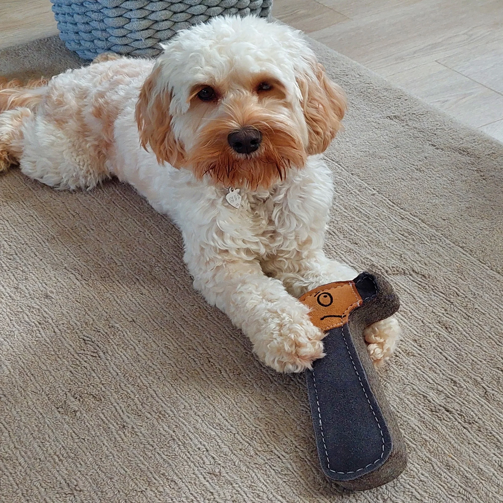 Hugo the Hammer, Eco Dog Toy - Image 5