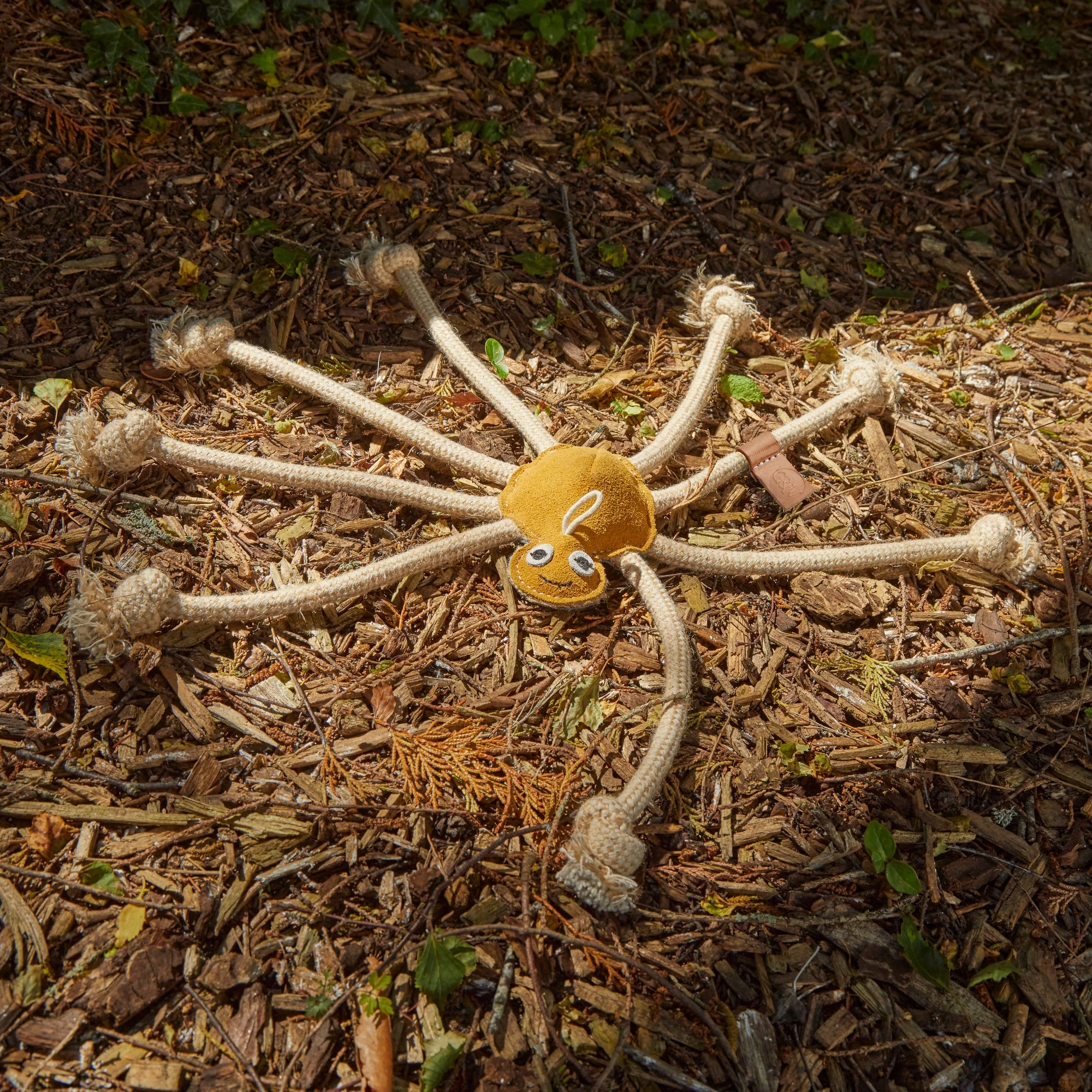 Lily Longlegs, Eco Dog Toy - Image 5
