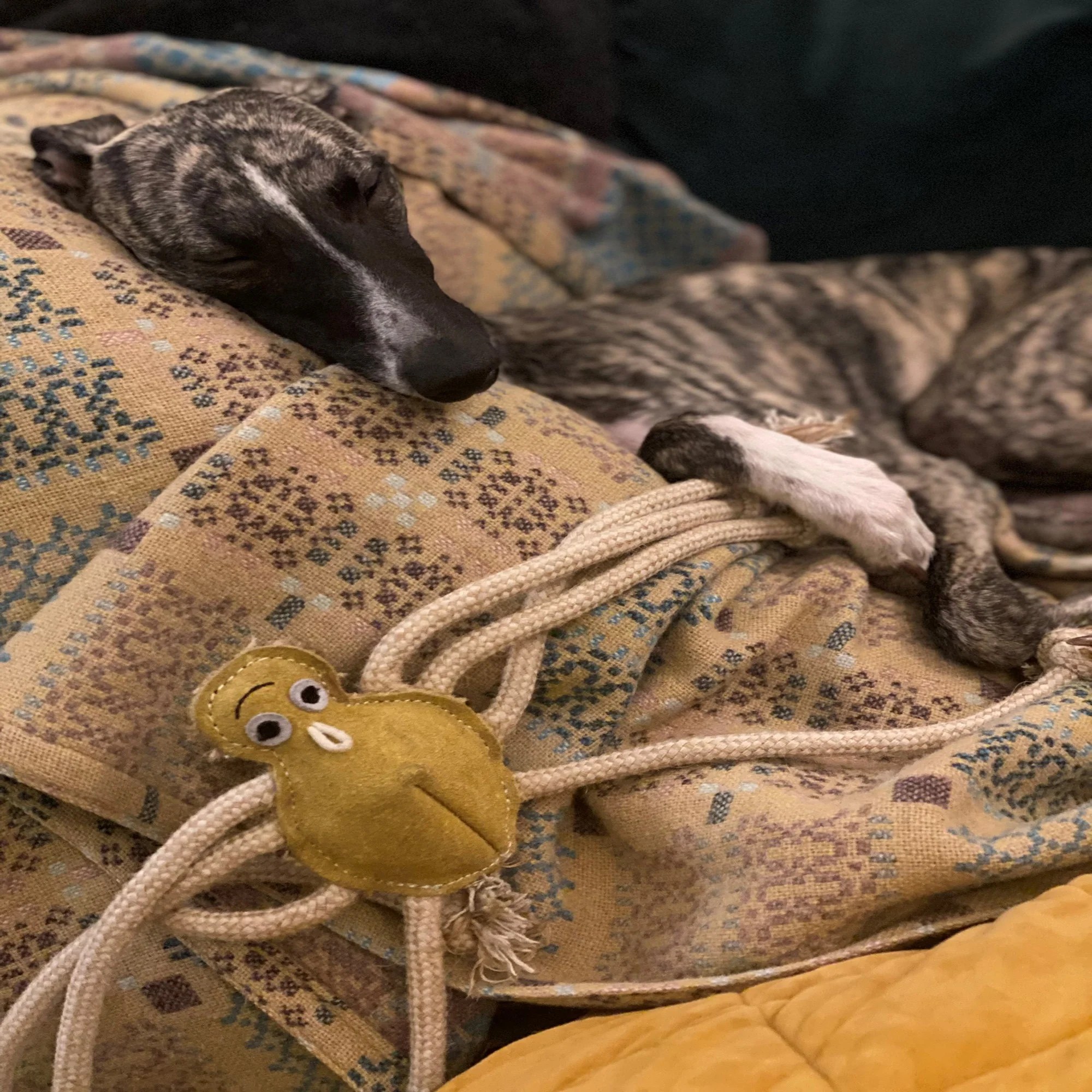 Lily Longlegs, Eco Dog Toy - Image 6