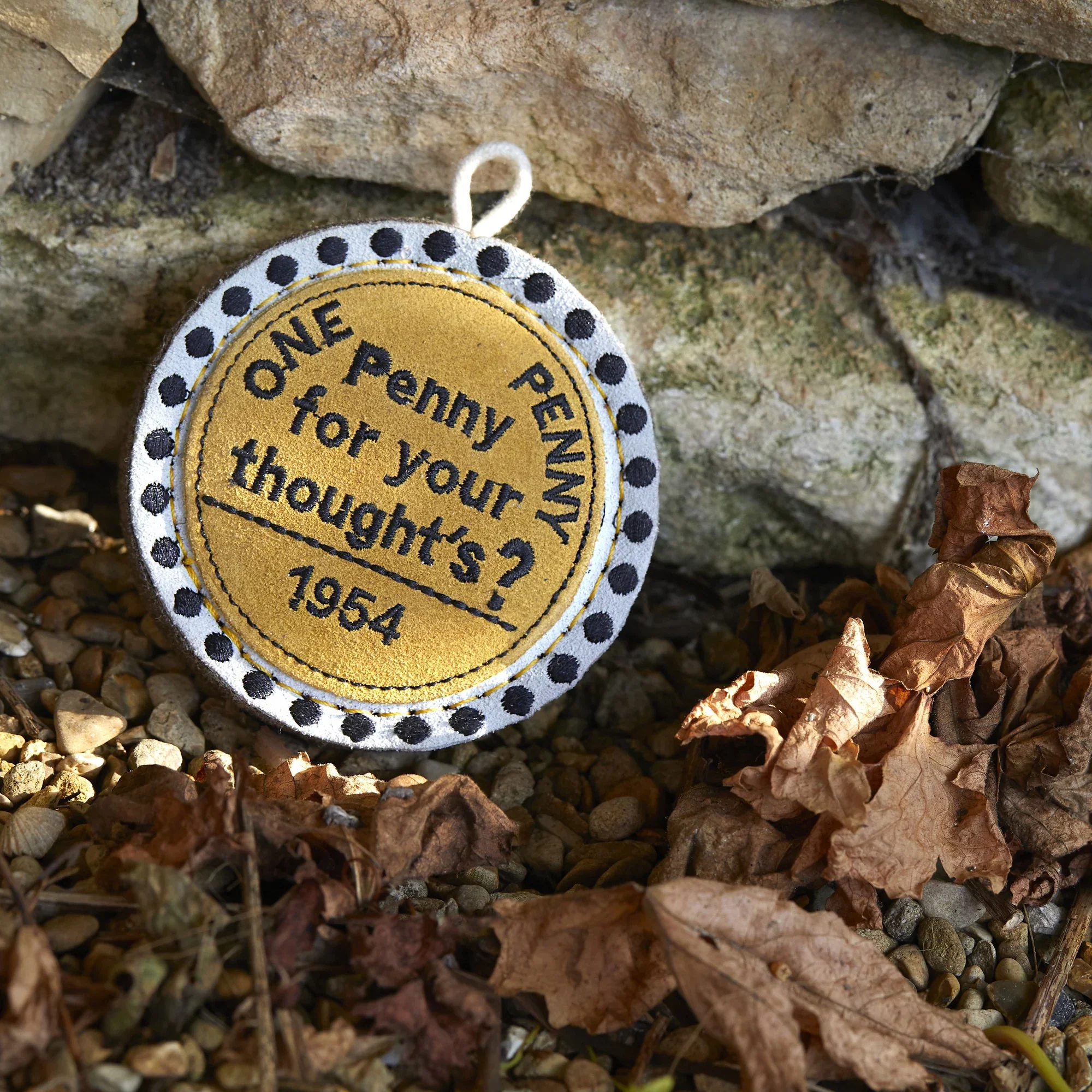 Penny for your Thoughts, Eco Dog Toy - Image 6