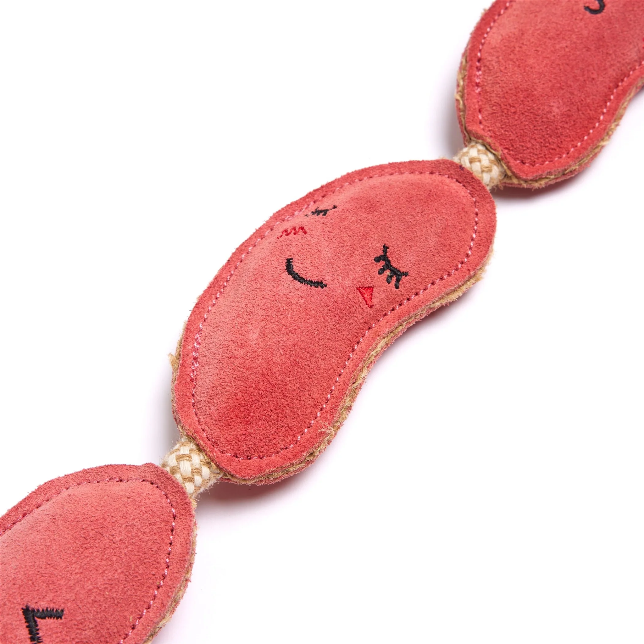 The Sizzle Sisters, Eco Dog Toy - Image 3