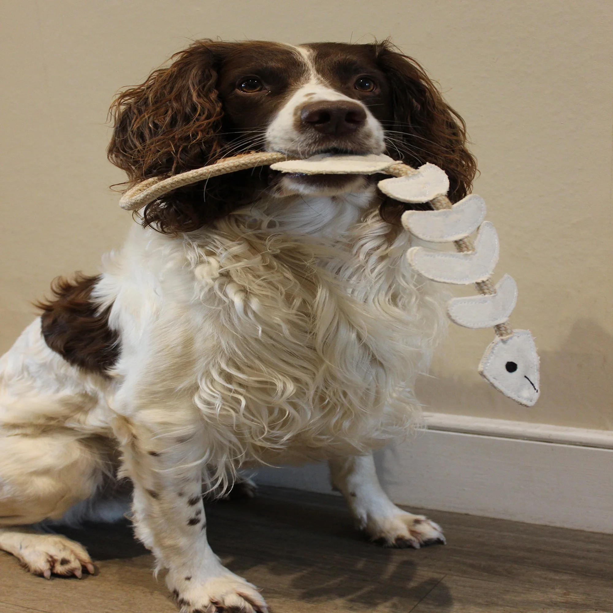 Thin Lizzie the Bonefish, Eco Dog Toy - Image 5